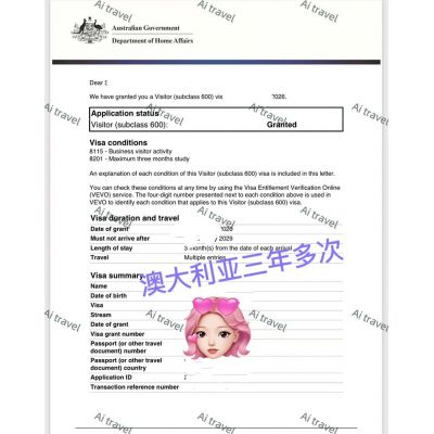 签证案例
