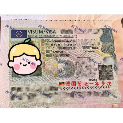 签证案例