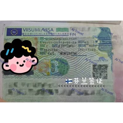 签证案例