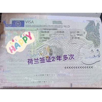 签证案例