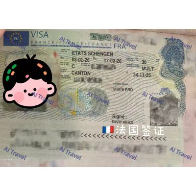 签证案例