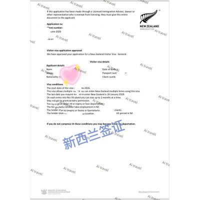 签证案例