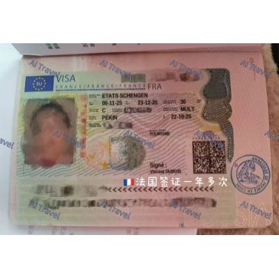 签证案例