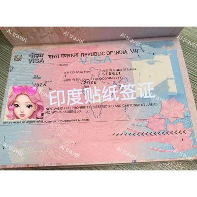 签证案例