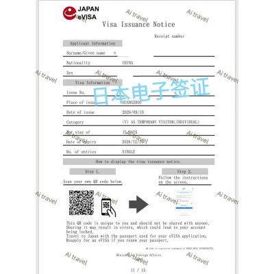 签证案例