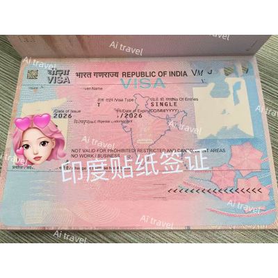 签证案例