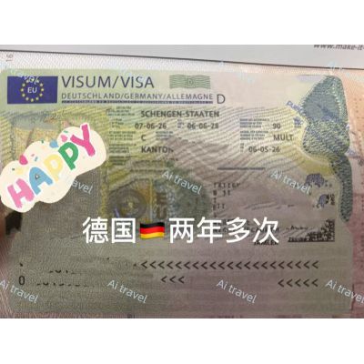 签证案例