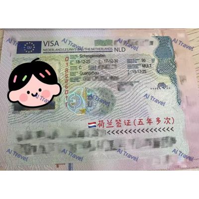 签证案例