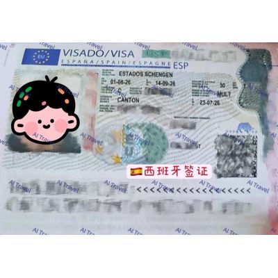 签证案例