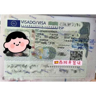 签证案例