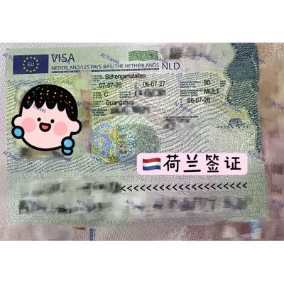 签证案例